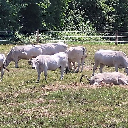 Agriturismo La Fornace Centro Ippico Villa Como Bagian luar foto