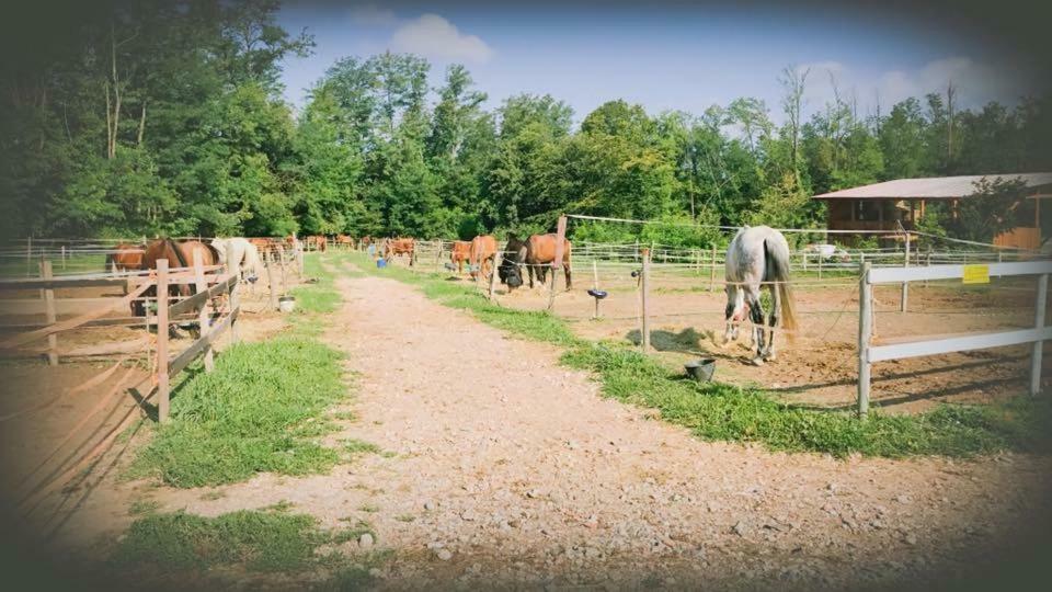 Agriturismo La Fornace Centro Ippico Villa Como Bagian luar foto