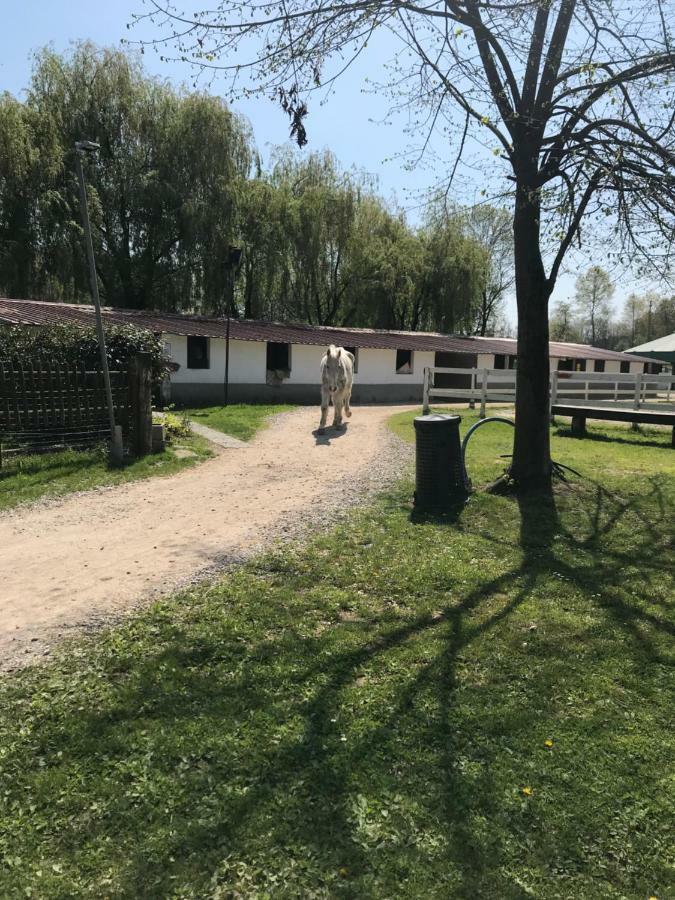 Agriturismo La Fornace Centro Ippico Villa Como Bagian luar foto