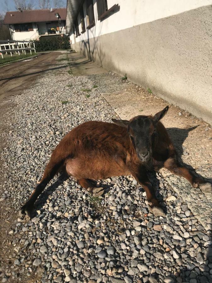 Agriturismo La Fornace Centro Ippico Villa Como Bagian luar foto