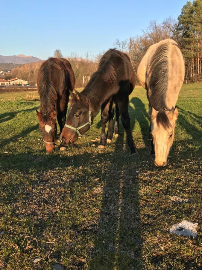 Agriturismo La Fornace Centro Ippico Villa Como Bagian luar foto